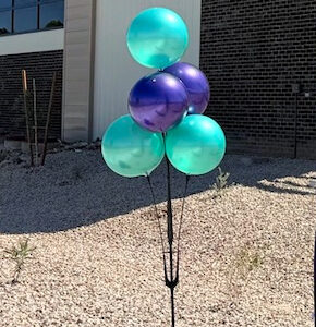Duraballoon 5 Cluster Pole Kit